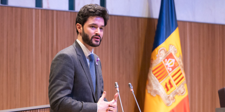 Cerni Escalé en el Consell General